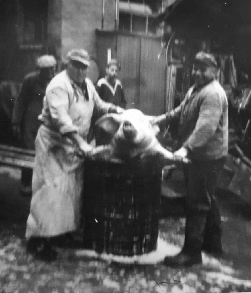 Hausschlachtung 1967