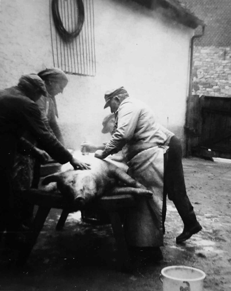 Hausschlachtung 1967