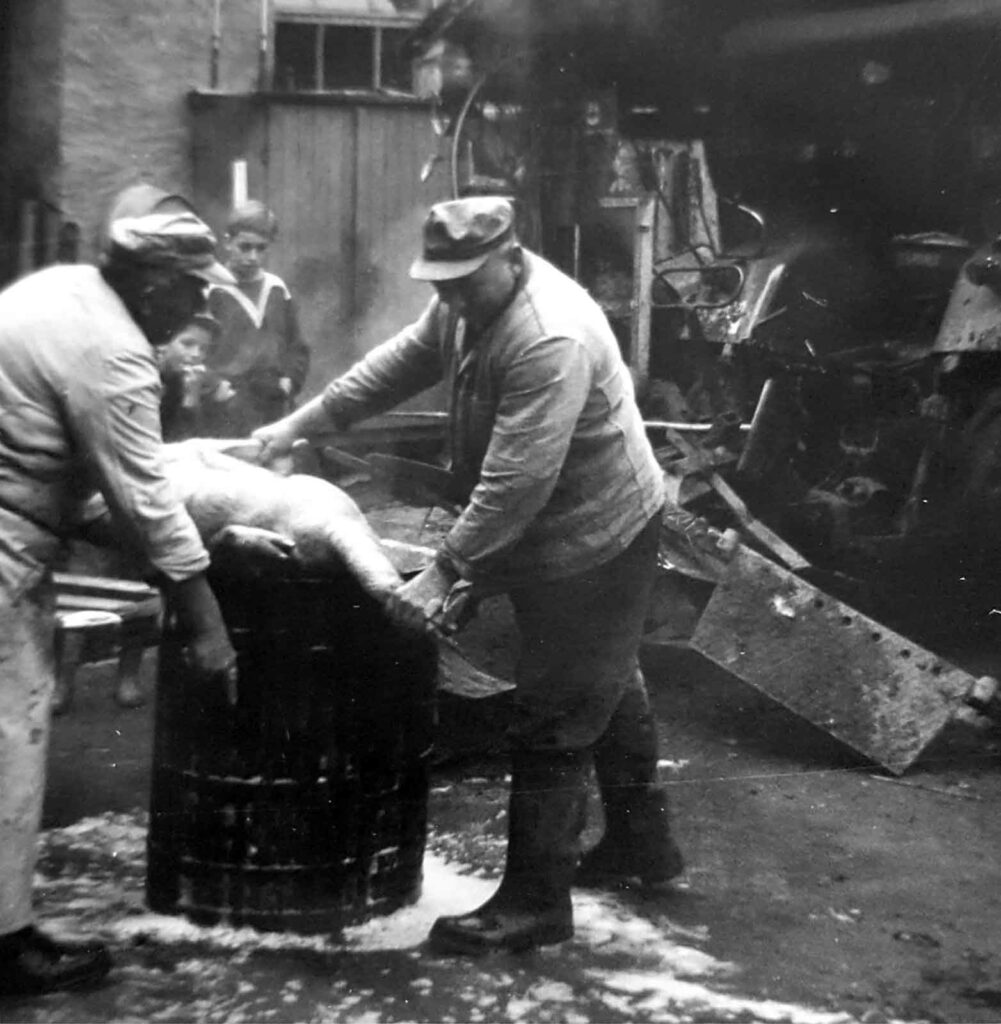 Hausschlachtung 1967